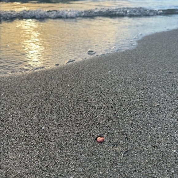 Meet your Posher, MJ - Picture 12 of 13